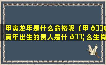 甲寅龙年是什么命格呢（甲 🐧 寅年出生的贵人是什 🐦 么生肖）